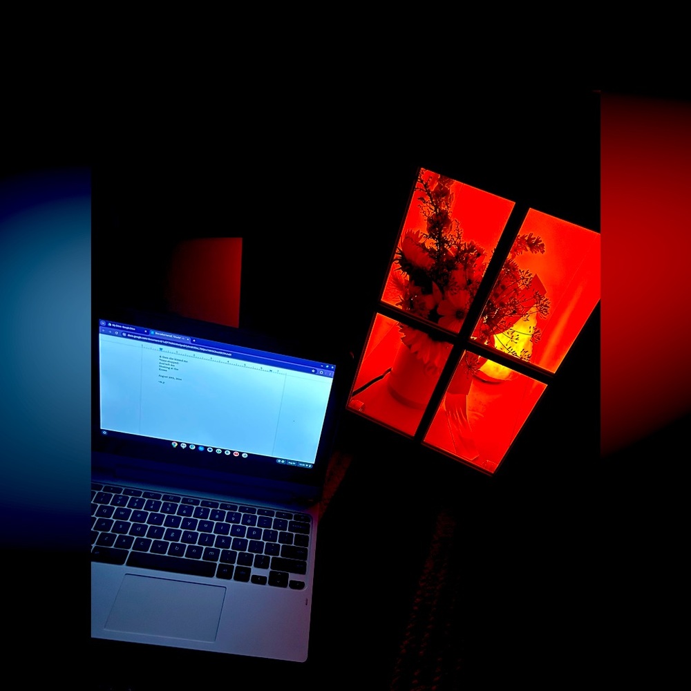 Chrome book